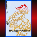 Truplican Protest Art Trading Card #14