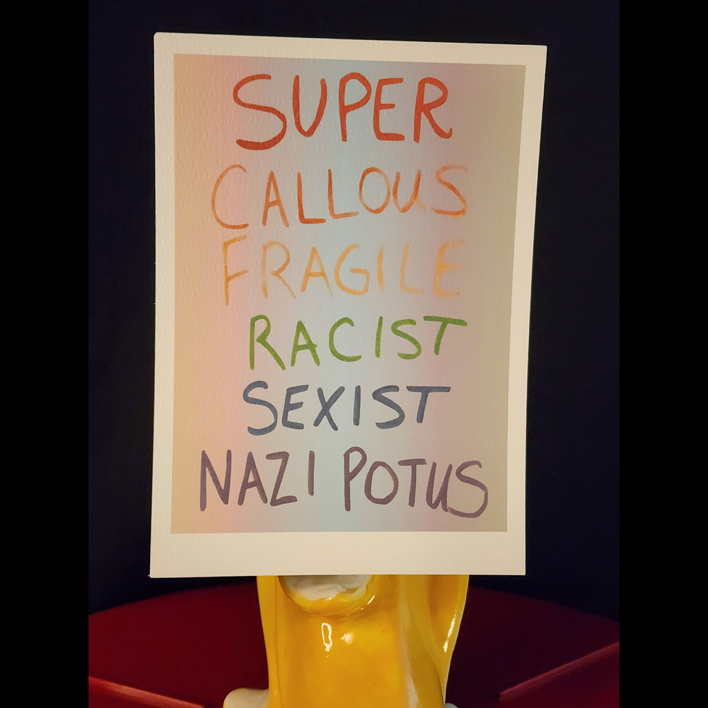 Super Fragile Protest Sign Art Print 5x7