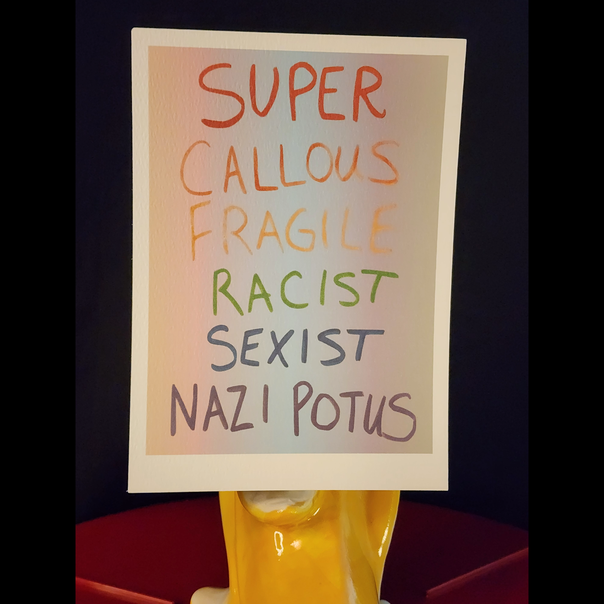 Super Fragile Protest Sign Art Print 5x7